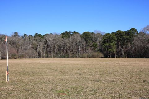Vacant Land For Sale - TBD LOT 5 La Hwy 958<br/> Slaughter, LA 70777