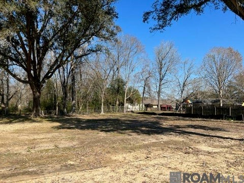 Vacant Land For Sale - TBD Oliphant Rd<br/> Saint George, LA 70809
