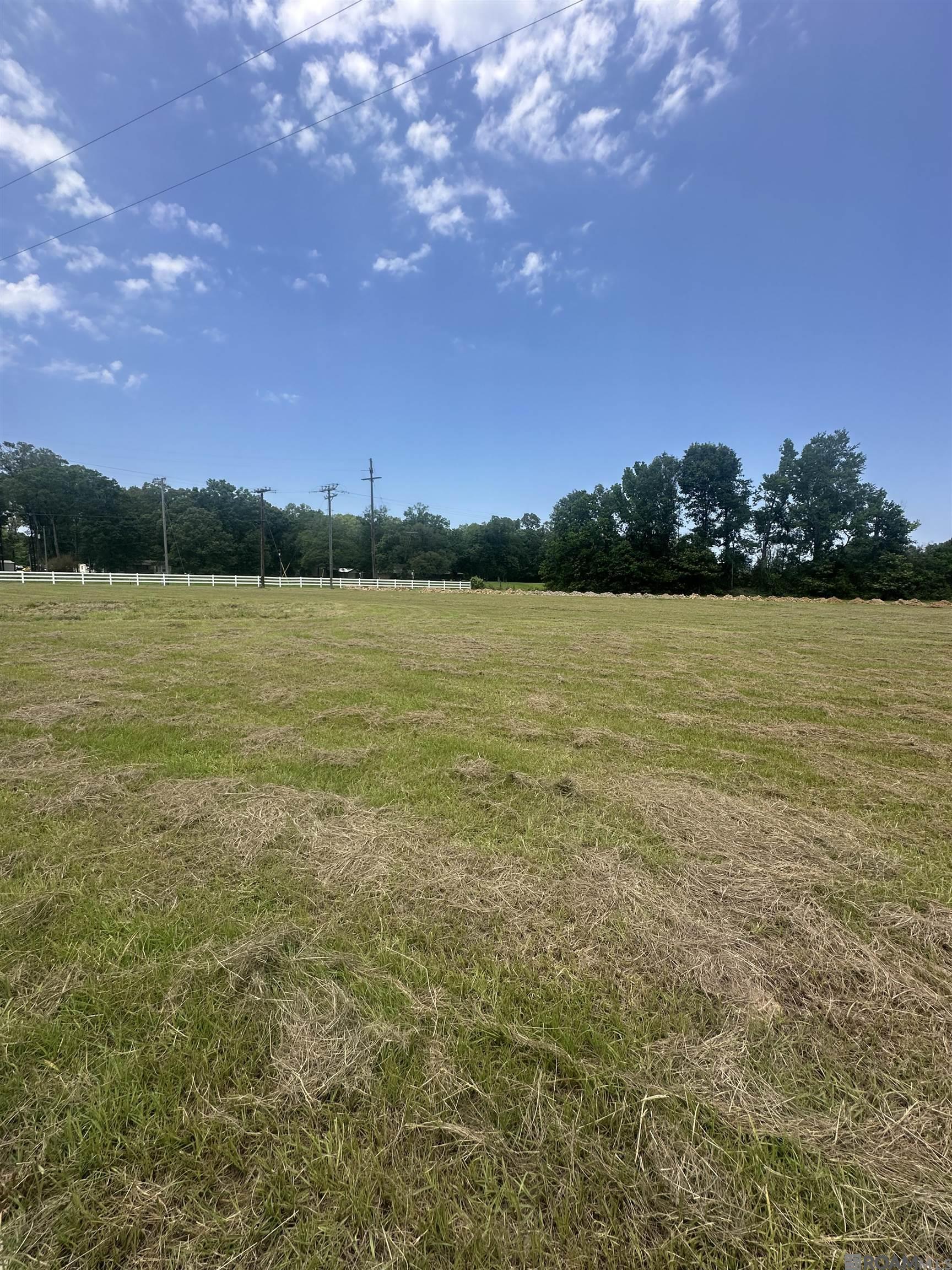 38842 La Hwy 16, Denham Springs, Louisiana image 4