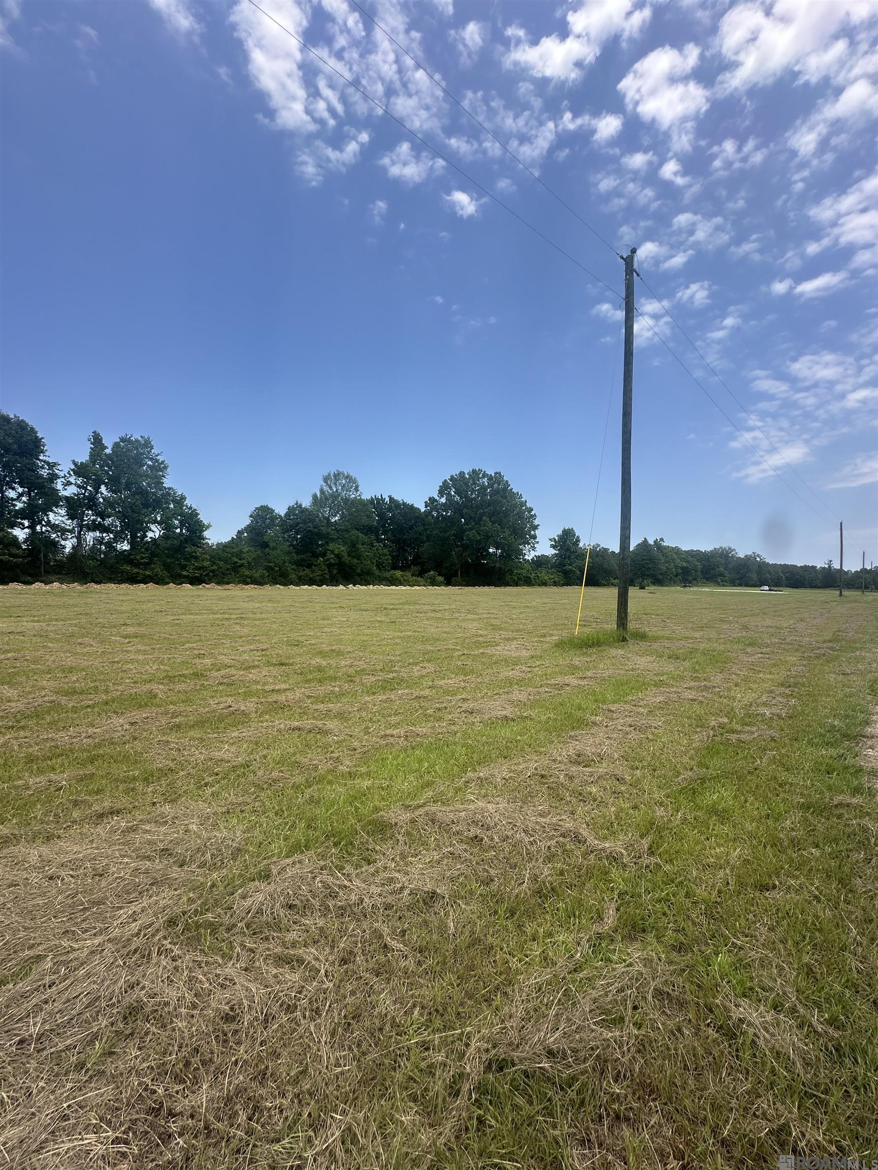 38842 La Hwy 16, Denham Springs, Louisiana image 3