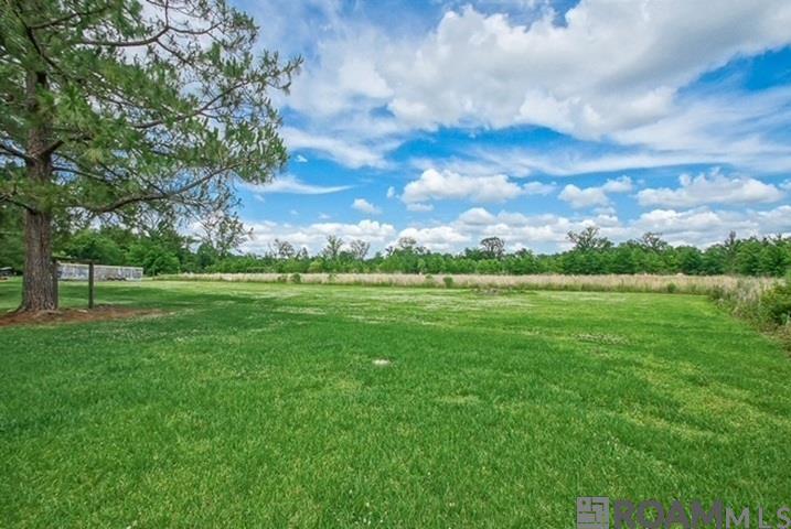 3938 Dearing Ln, Fordoche, Louisiana image 22