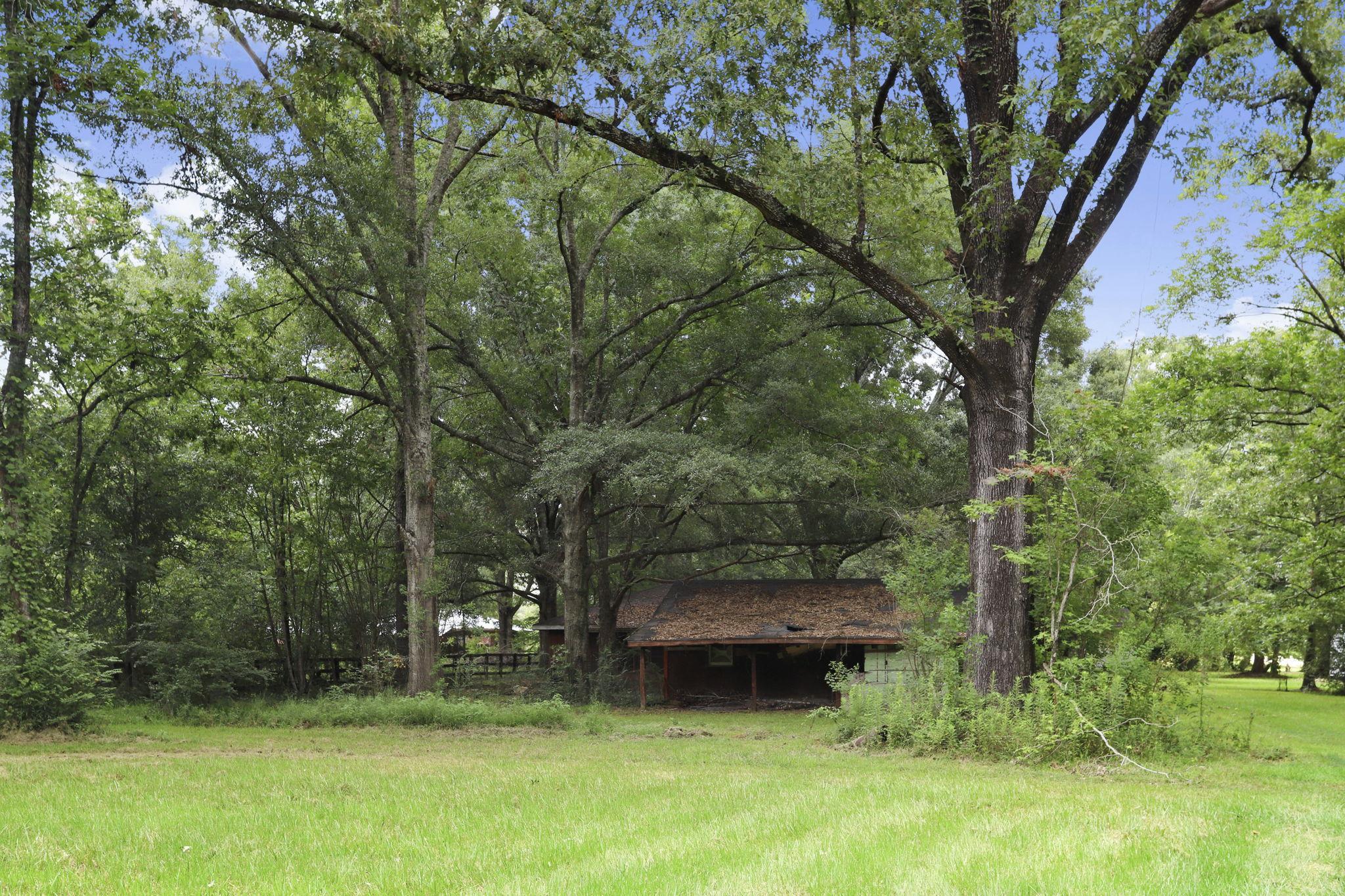 8920 Lemon Rd, Slaughter, Louisiana image 13