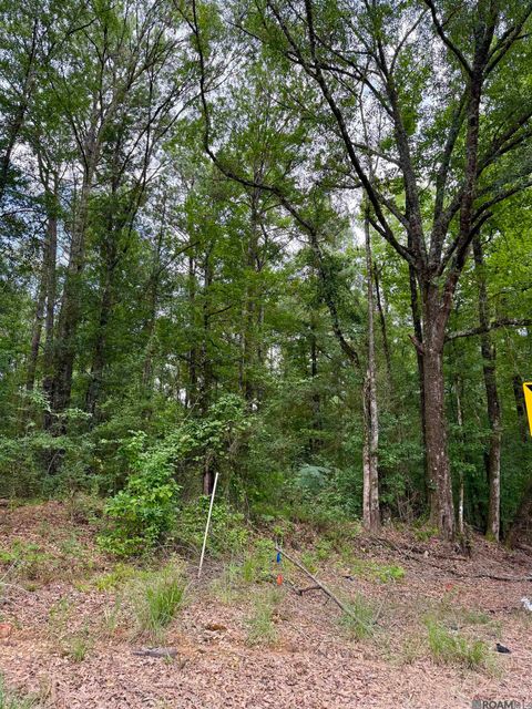Vacant Land For Sale - 2194 Ms Hwy 570<br/> Pike County, Summit, MS 39666