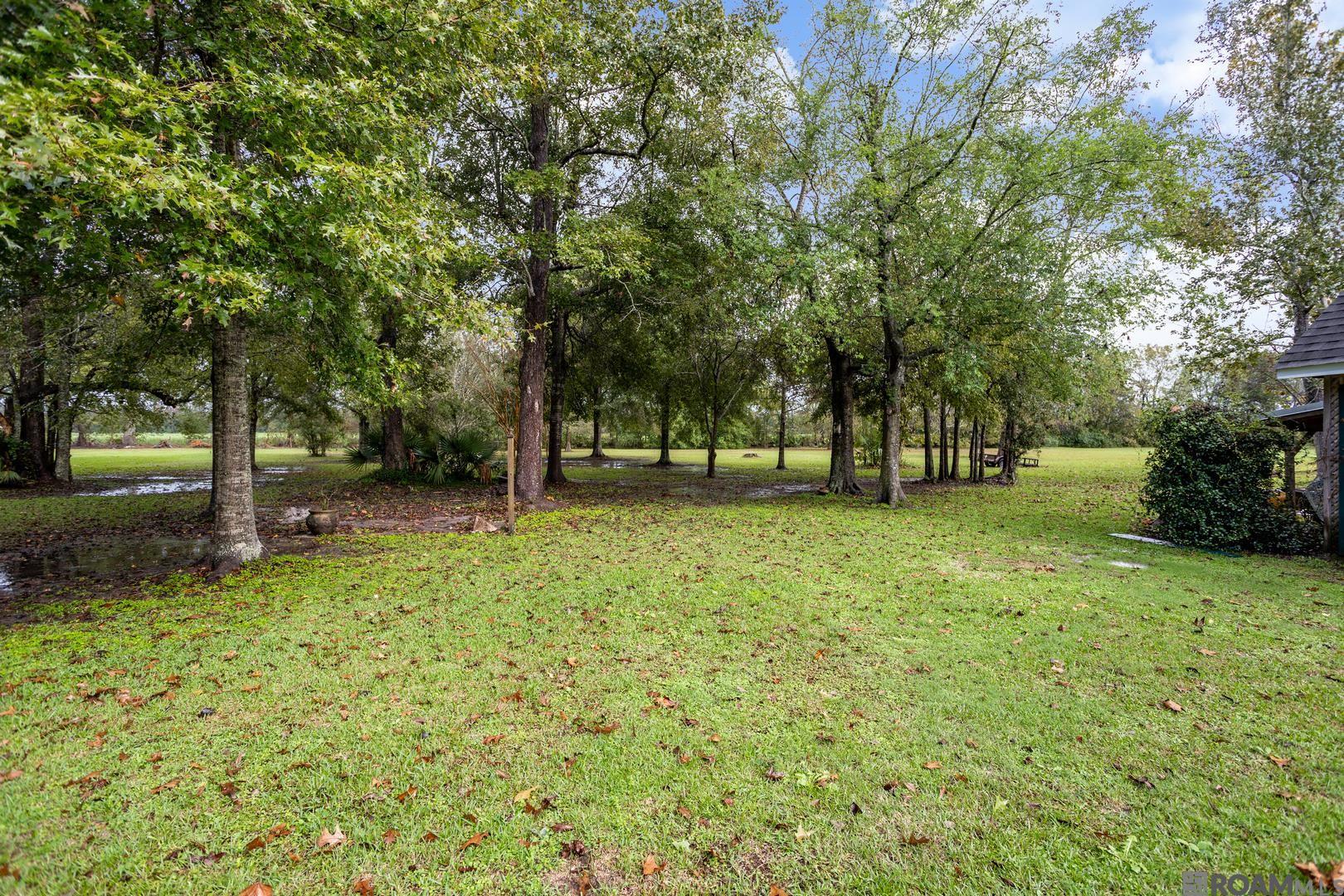 23735 Kirtley Dr, Plaquemine, Louisiana image 34