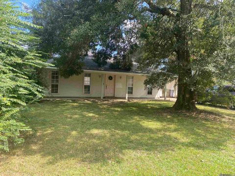 Homes For Sale - 738 Darren Dr<br/> Denham Springs, LA 70726