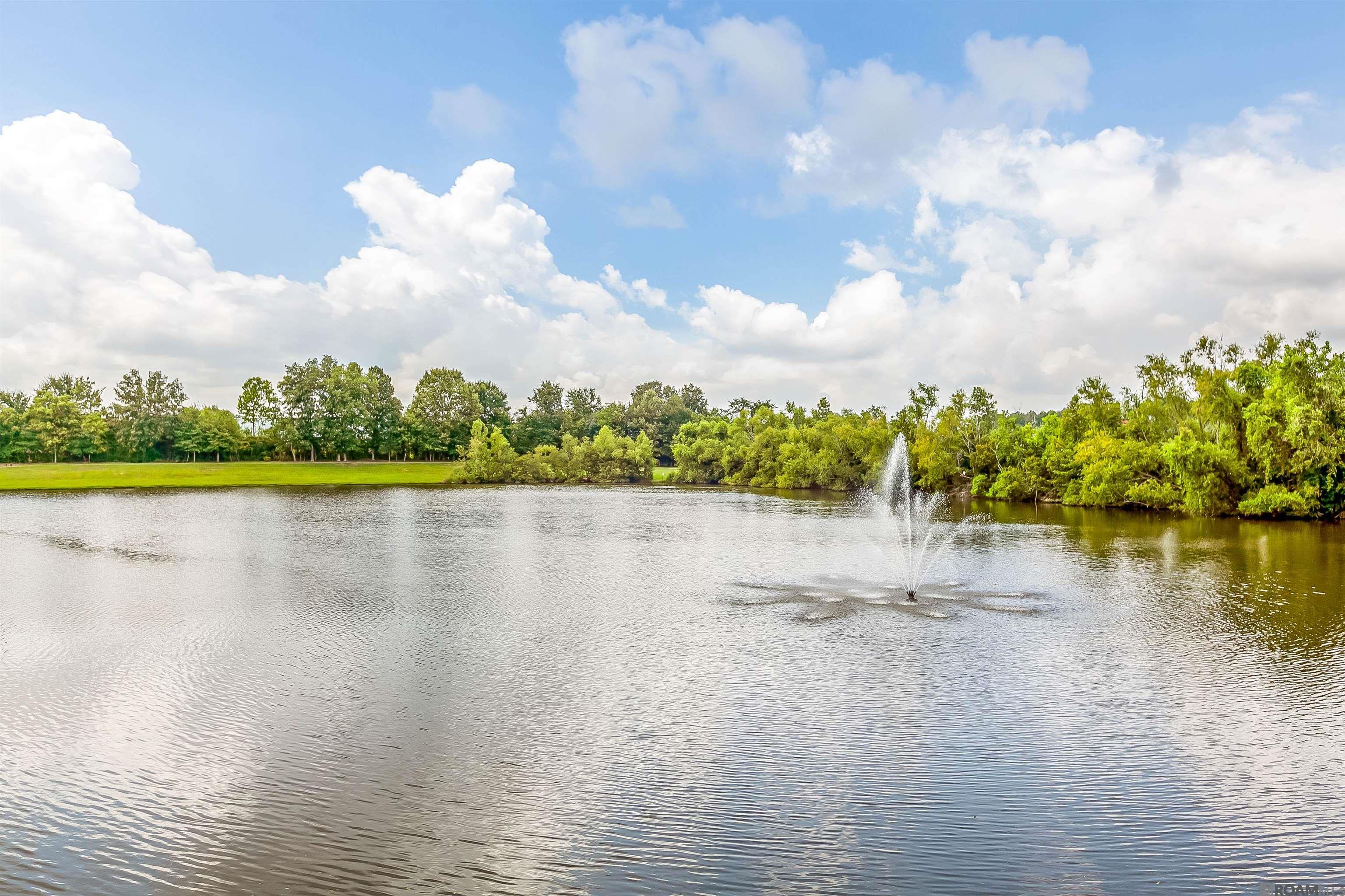 7111 Village Charmant Dr #58, Baton Rouge, Louisiana image 41
