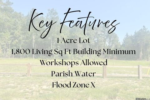 Vacant Land For Sale - 19025 La Hwy 444<br/> Livingston, LA 70754