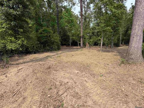 Vacant Land For Sale - 4343 Feliciana Court<br/> Clinton, LA 70722