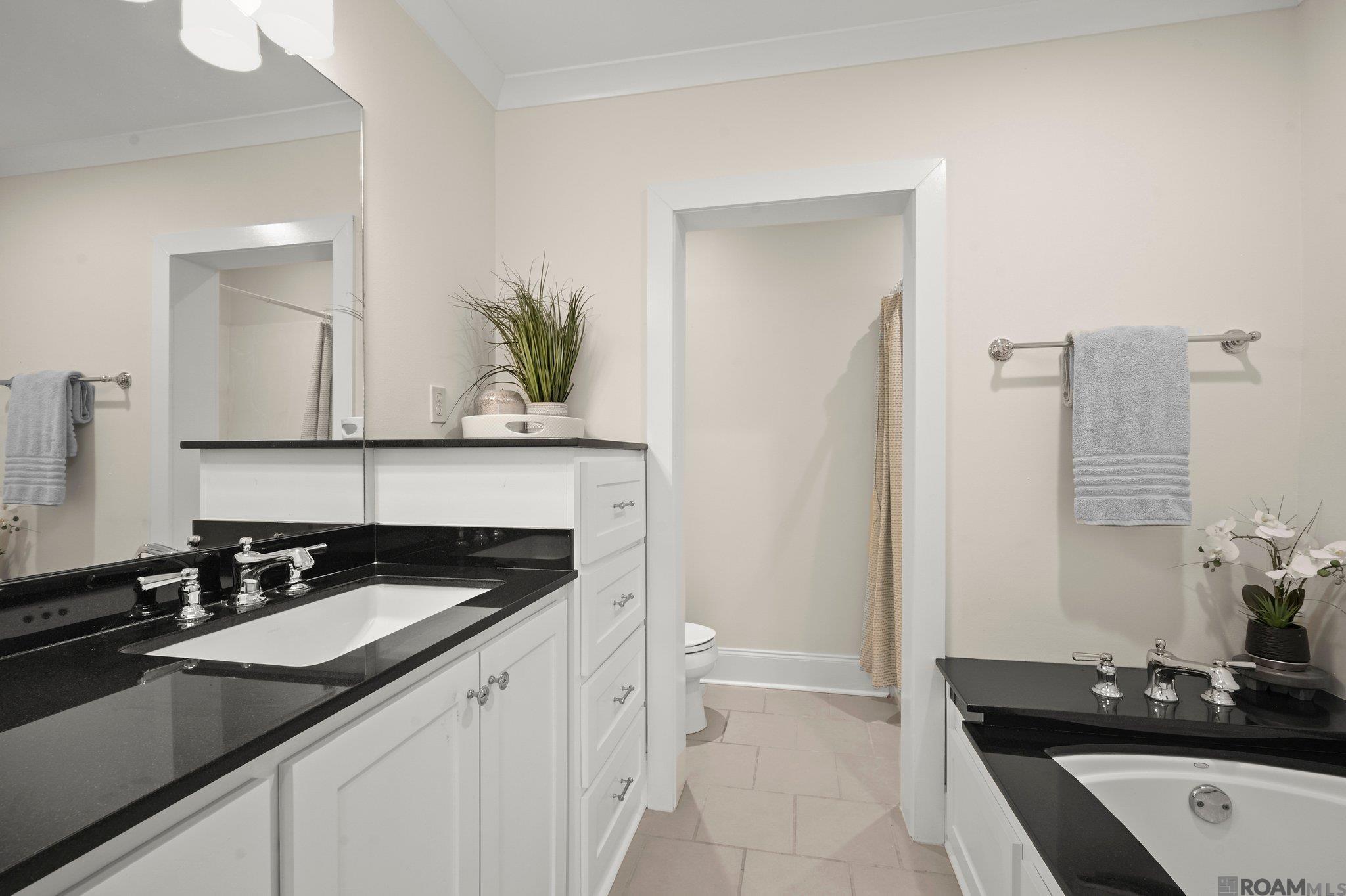 6136 Chandler Dr, Baton Rouge, Louisiana image 33