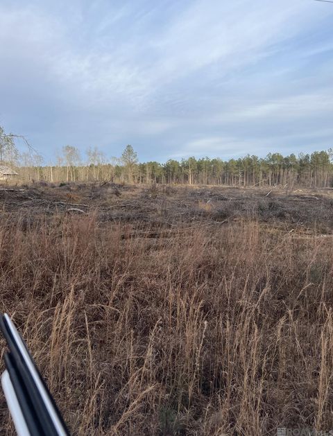 Vacant Land For Sale - LOT B-6 Mack Ln<br/> Clinton, LA 70722