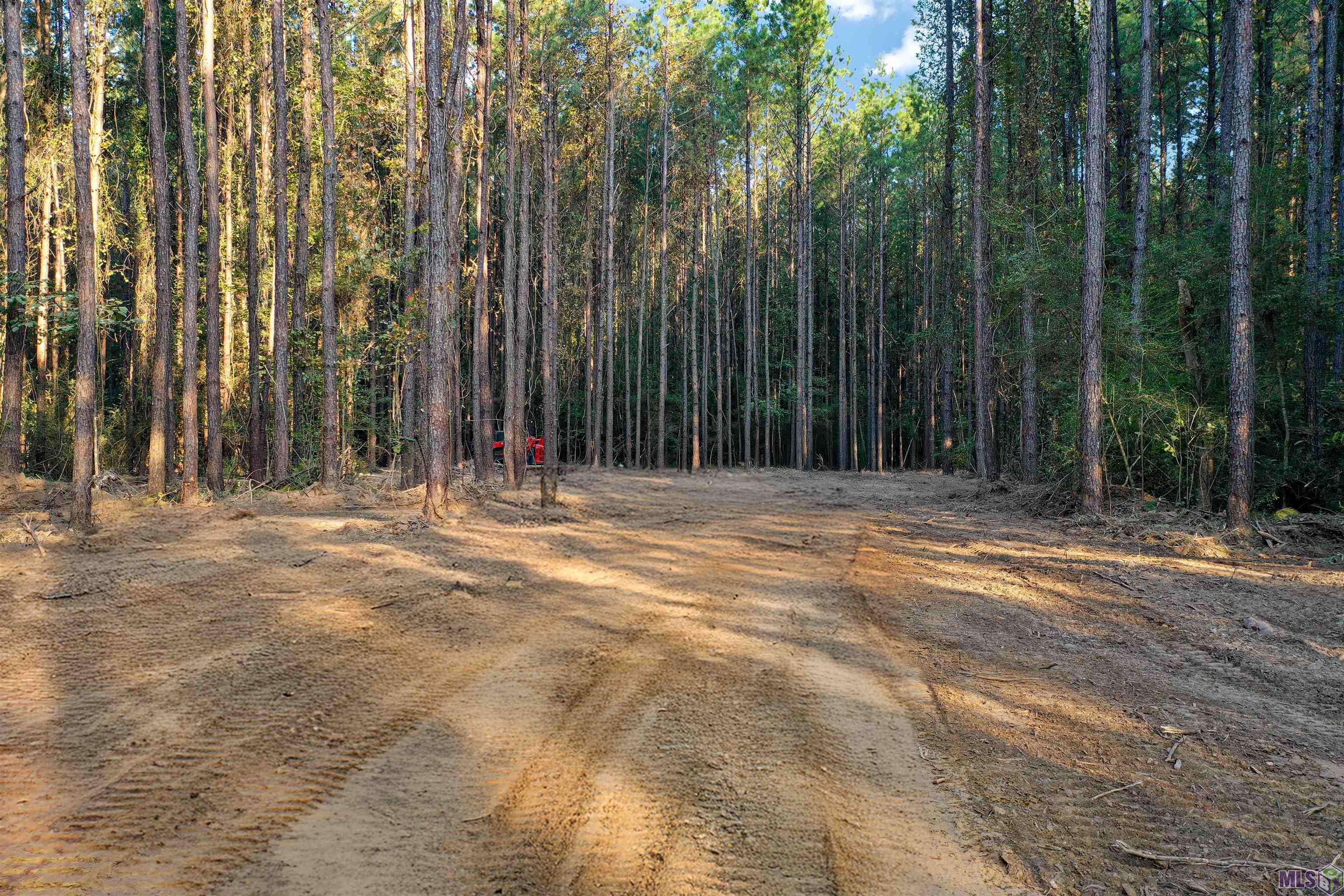 Lot 11 La Hwy 449, Pine Grove, Louisiana image 7