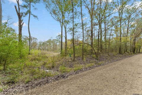 Vacant Land For Sale - 5498 Old Liberty Rd<br/> Clinton, LA 70722