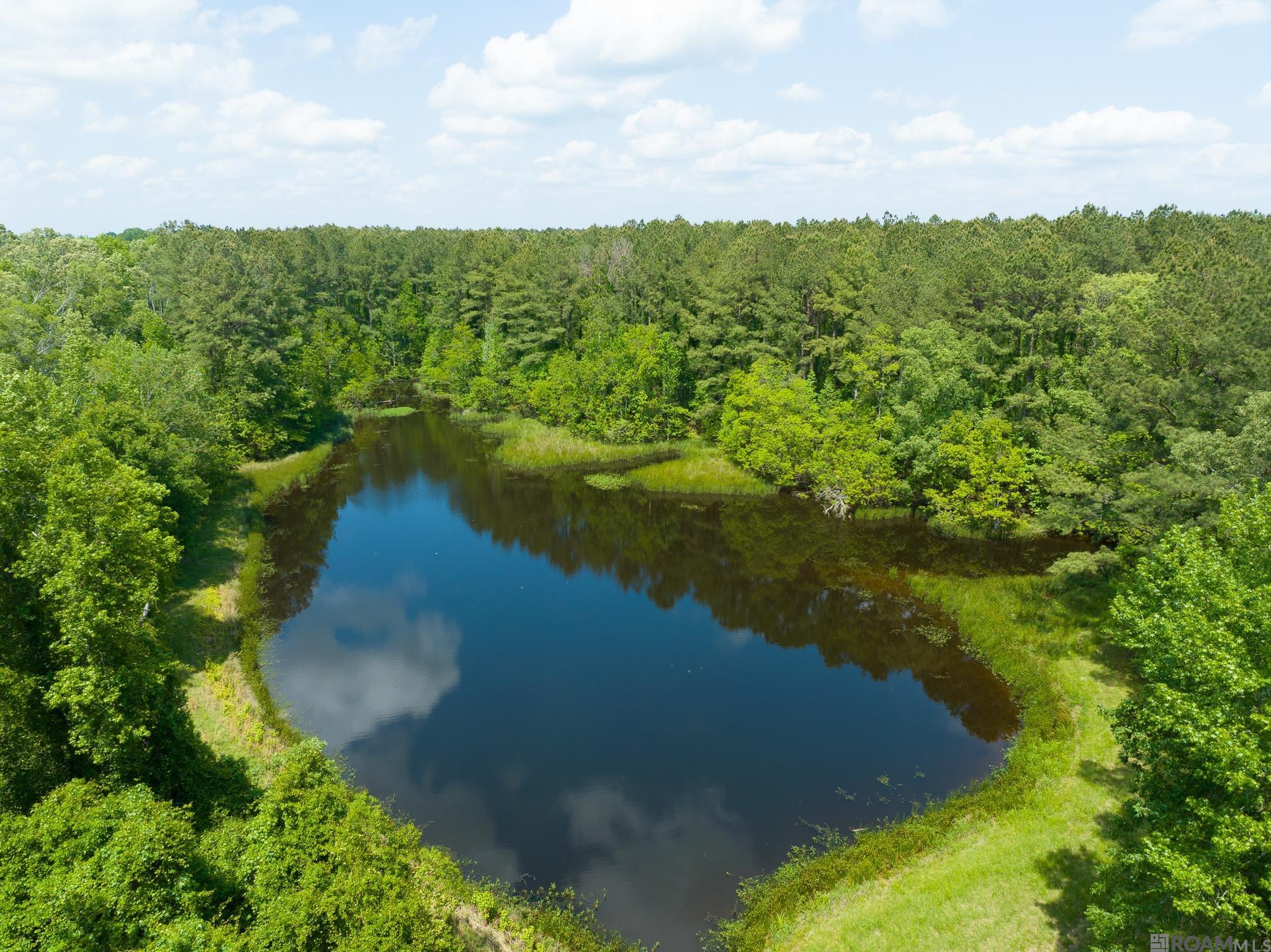 TBD Dreher Rd, Saint Francisville, Louisiana image 9