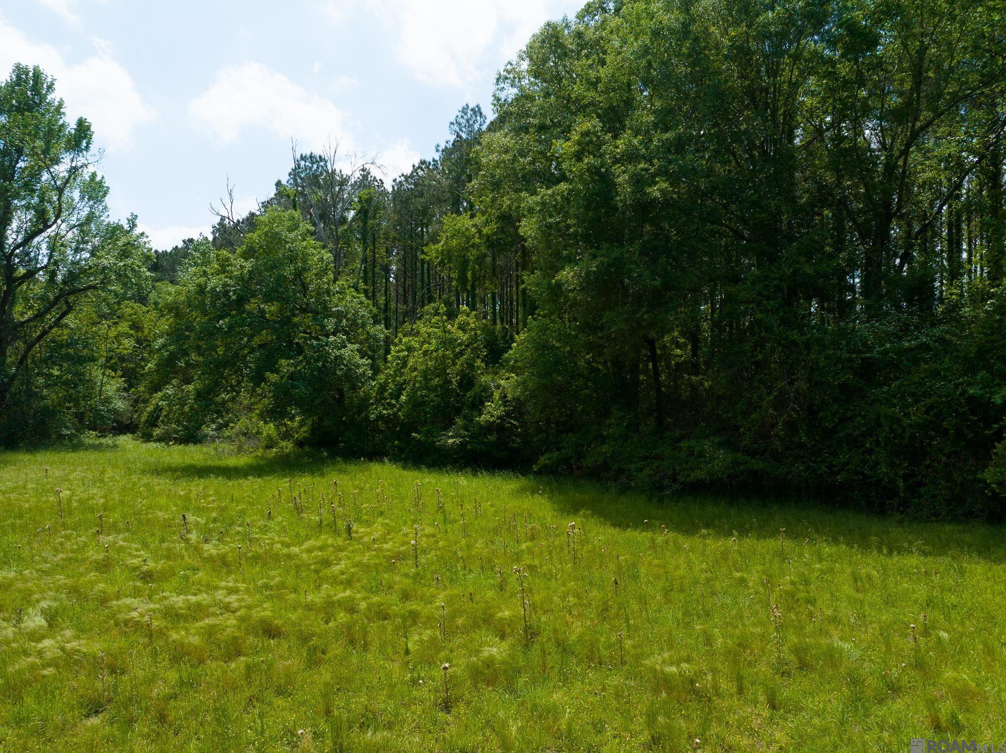 TBD Dreher Rd, Saint Francisville, Louisiana image 8