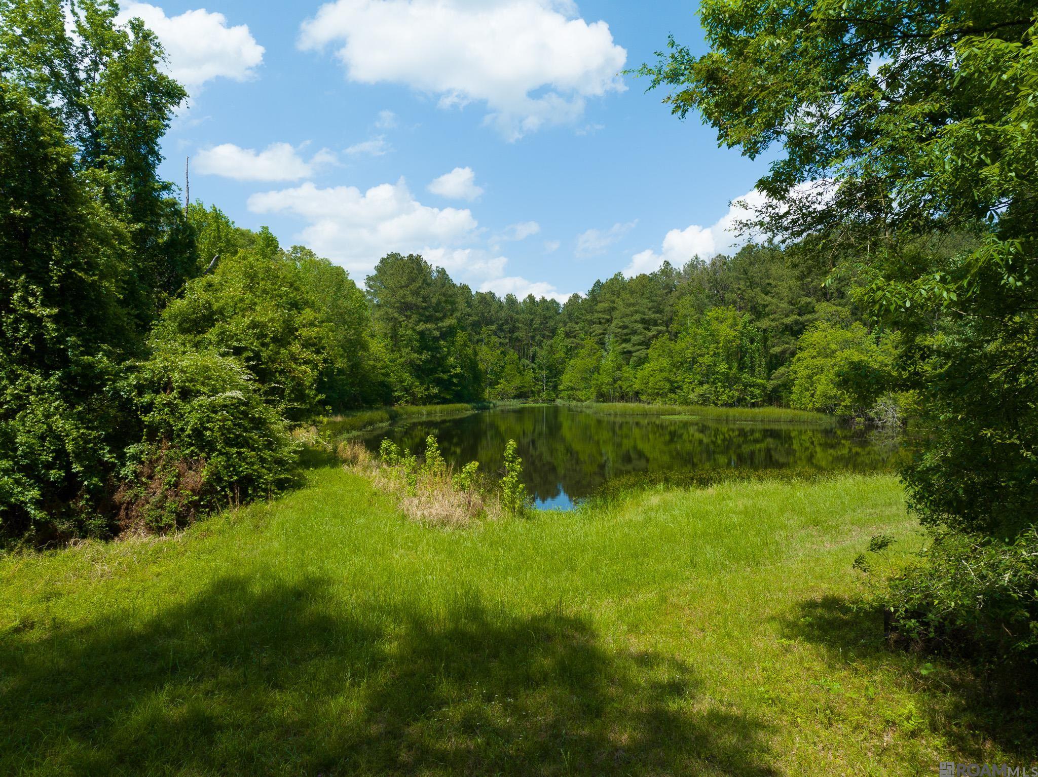 TBD Dreher Rd, Saint Francisville, Louisiana image 2