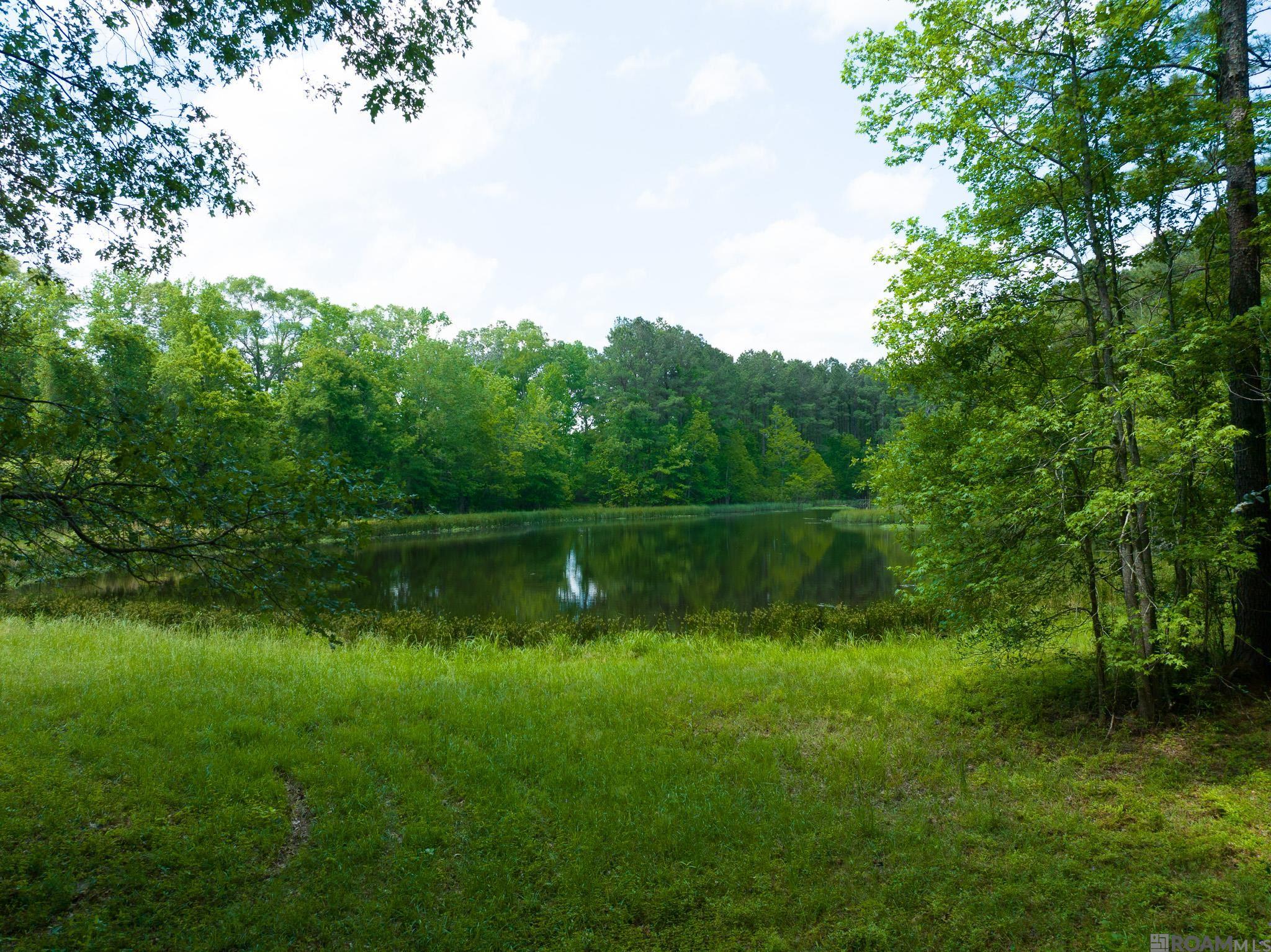 TBD Dreher Rd, Saint Francisville, Louisiana image 3