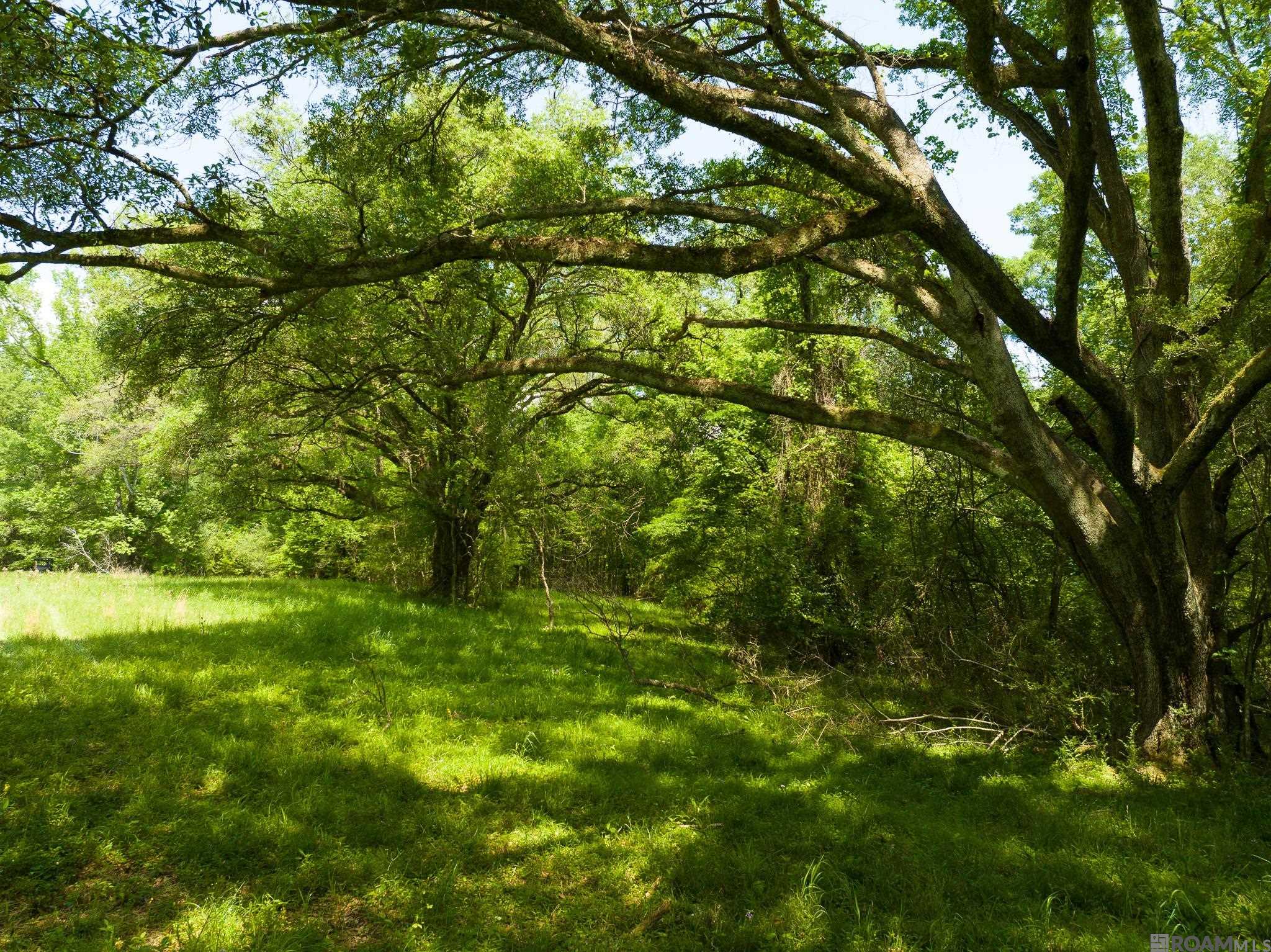 TBD Dreher Rd, Saint Francisville, Louisiana image 5