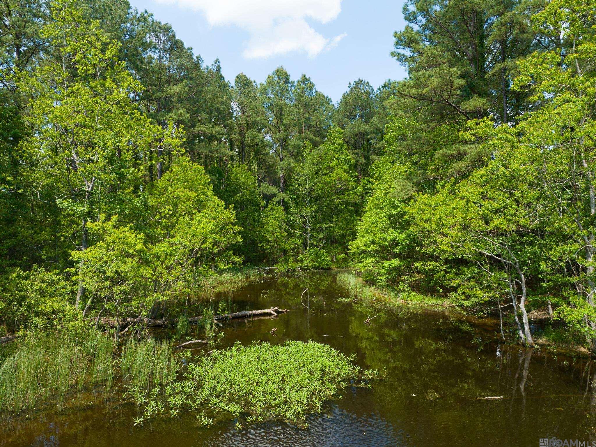 TBD Dreher Rd, Saint Francisville, Louisiana image 4