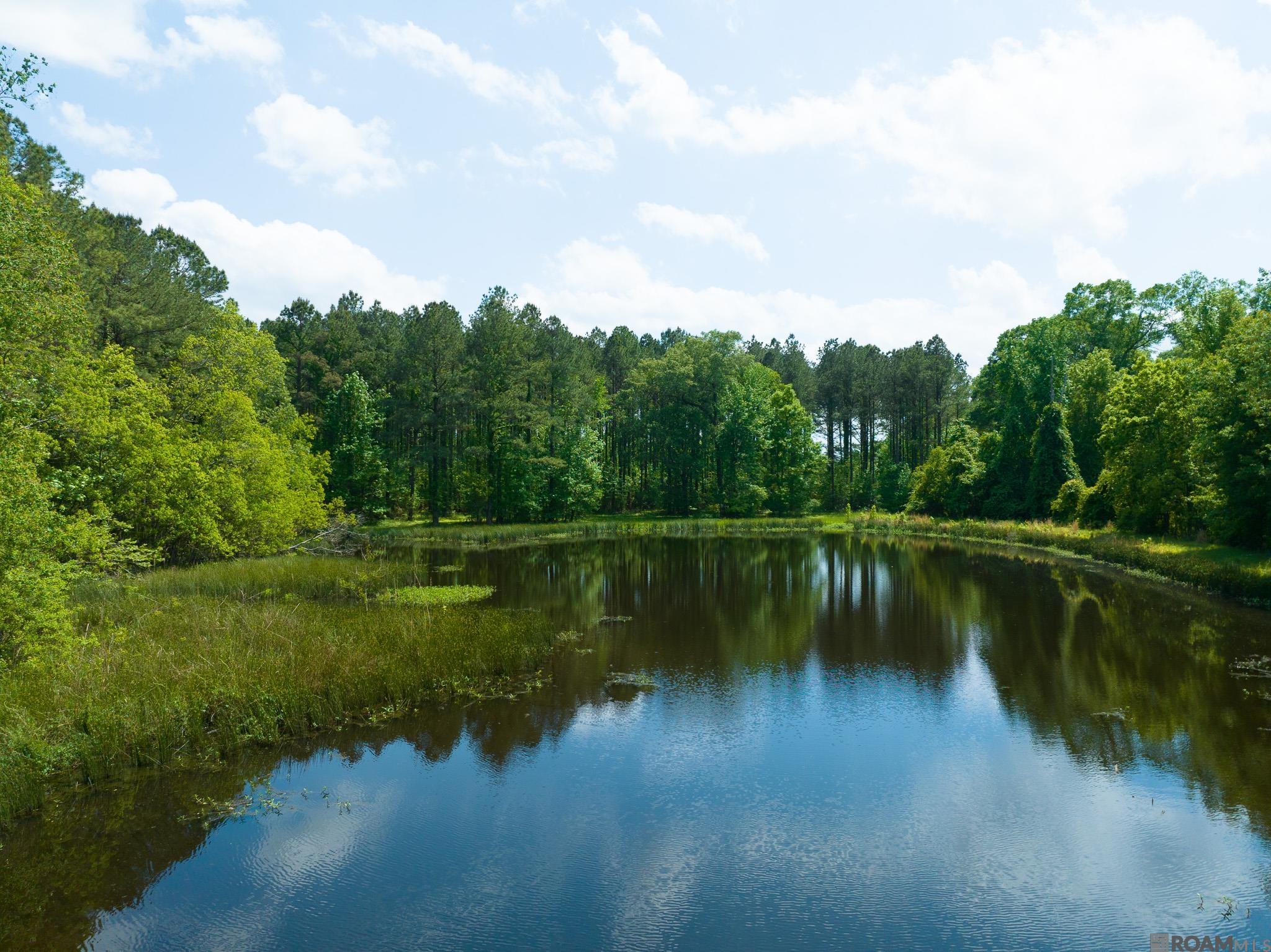 TBD Dreher Rd, Saint Francisville, Louisiana image 1