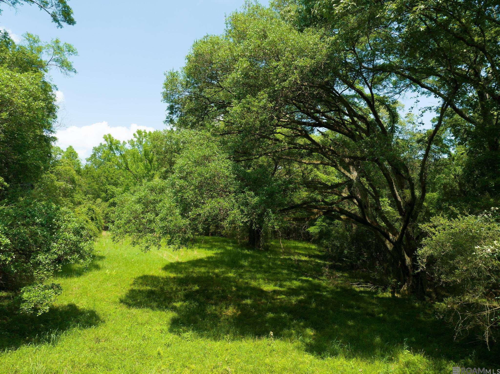 TBD Dreher Rd, Saint Francisville, Louisiana image 6