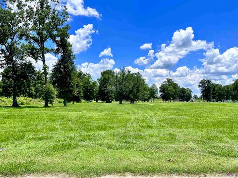 Vacant Land For Sale - 3224 Stanford Levy Rd<br/> Darrow, LA 70725
