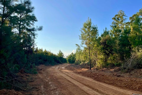 Vacant Land For Sale - 02 La Hwy 448<br/> Greensburg, LA 70441