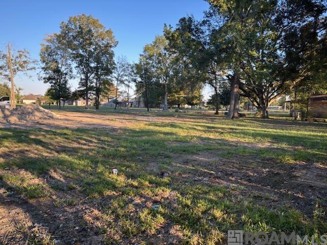 16393 Stewart Rd