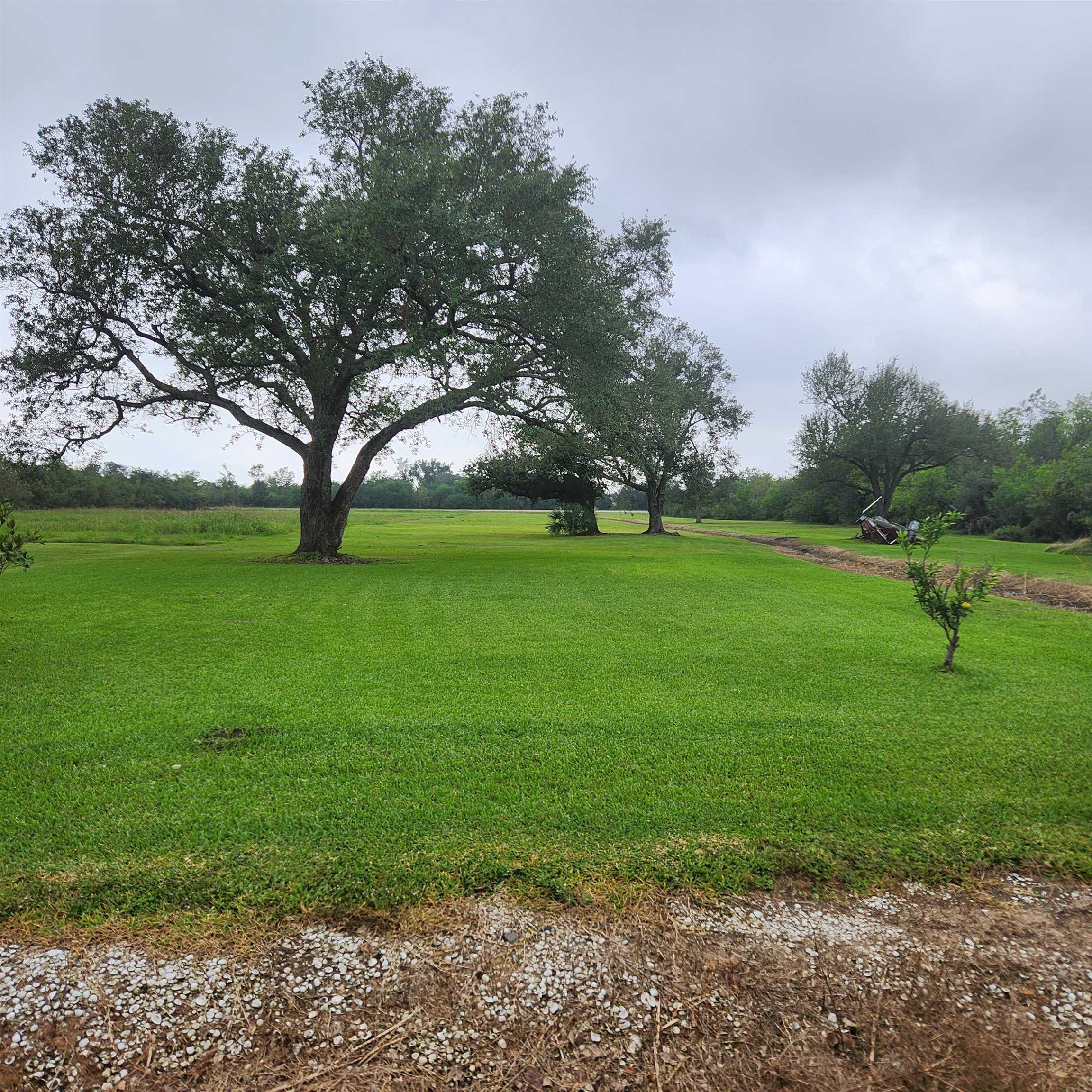 North Alex Plaisance Boulevard, Golden Meadow, Louisiana image 3