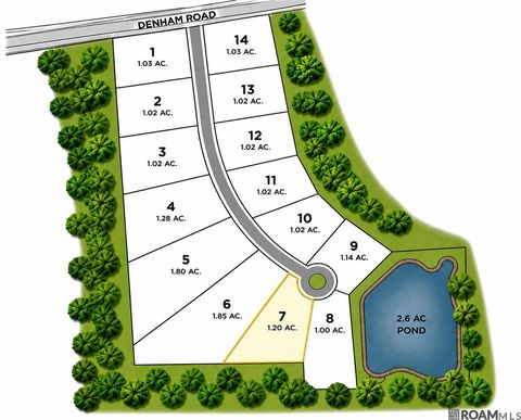 Vacant Land For Sale - 14694 Castle Dr<br/> East Baton Rouge County, Pride, LA 70770