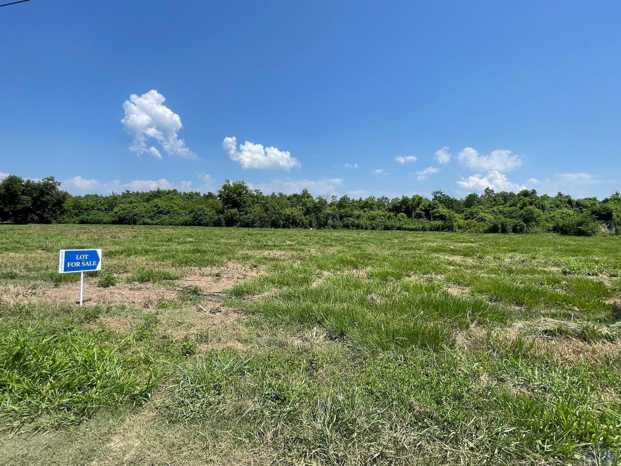 Lot 8 Blk. 2 East 93rd Street, Cut Off, Louisiana image 3