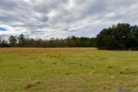 Vacant Land For Sale - 06 Old Hwy 51<br/> Amite, LA 70422