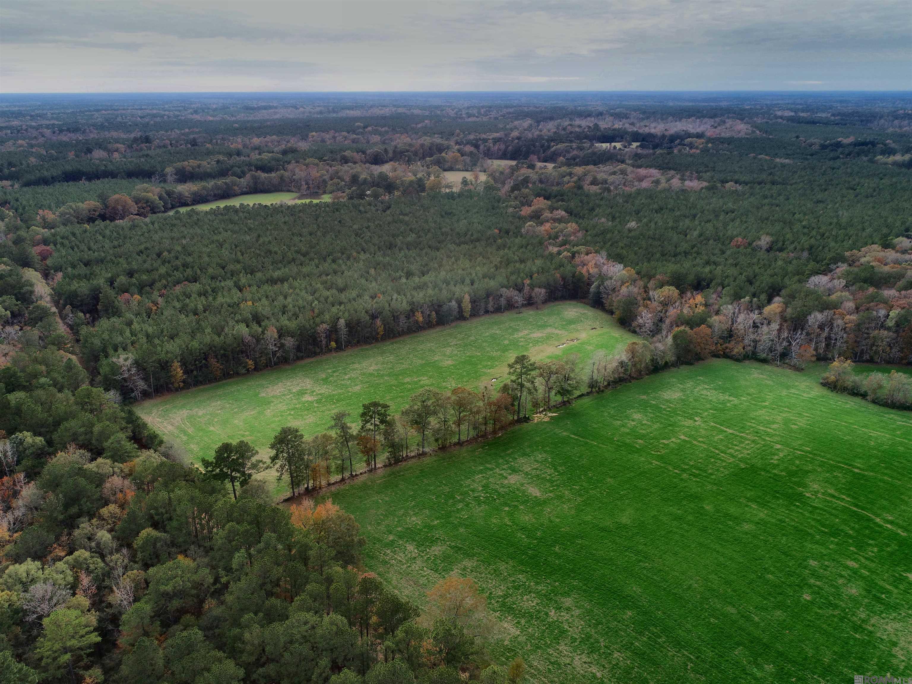 TBD Peterson Rd, Clinton, Louisiana image 3