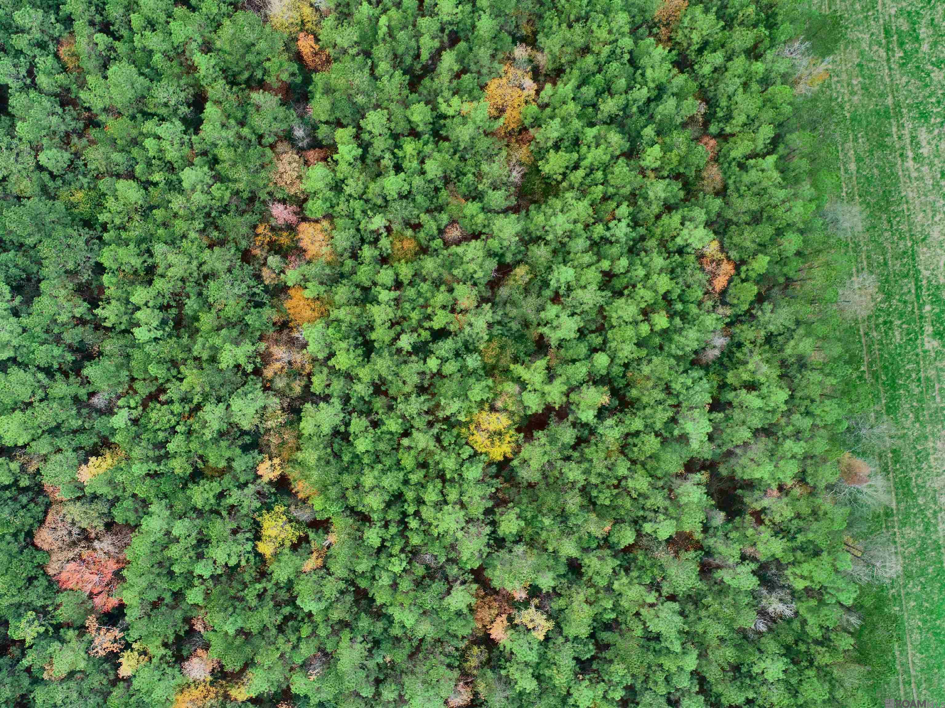 TBD Peterson Rd, Clinton, Louisiana image 9