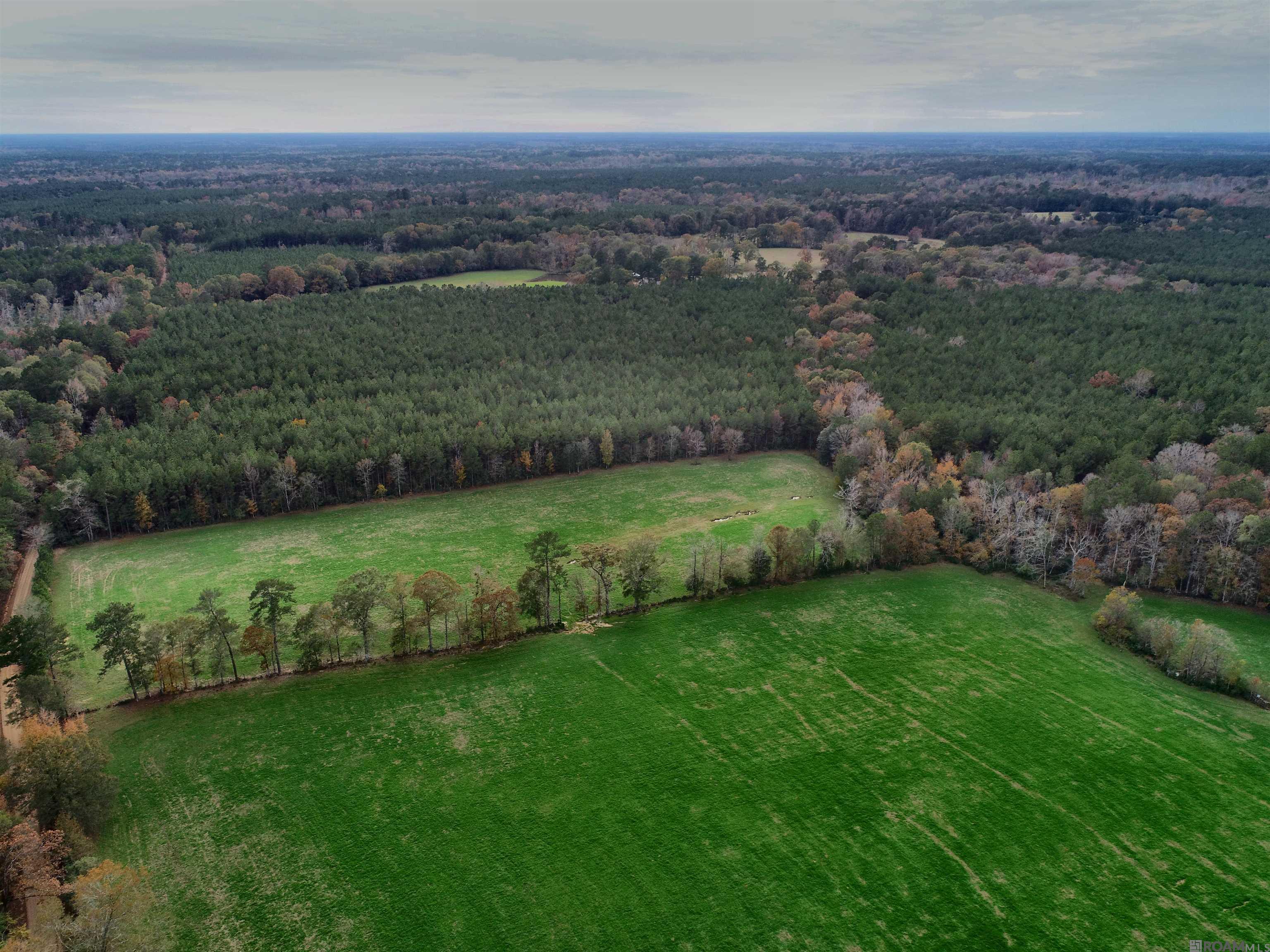 TBD Peterson Rd, Clinton, Louisiana image 4