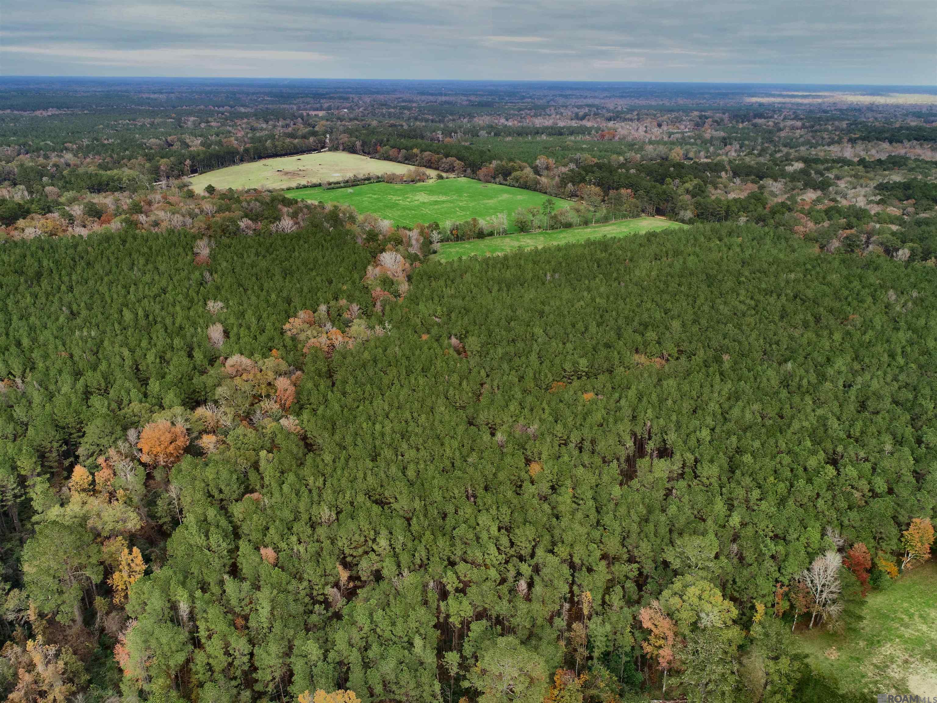 TBD Peterson Rd, Clinton, Louisiana image 6