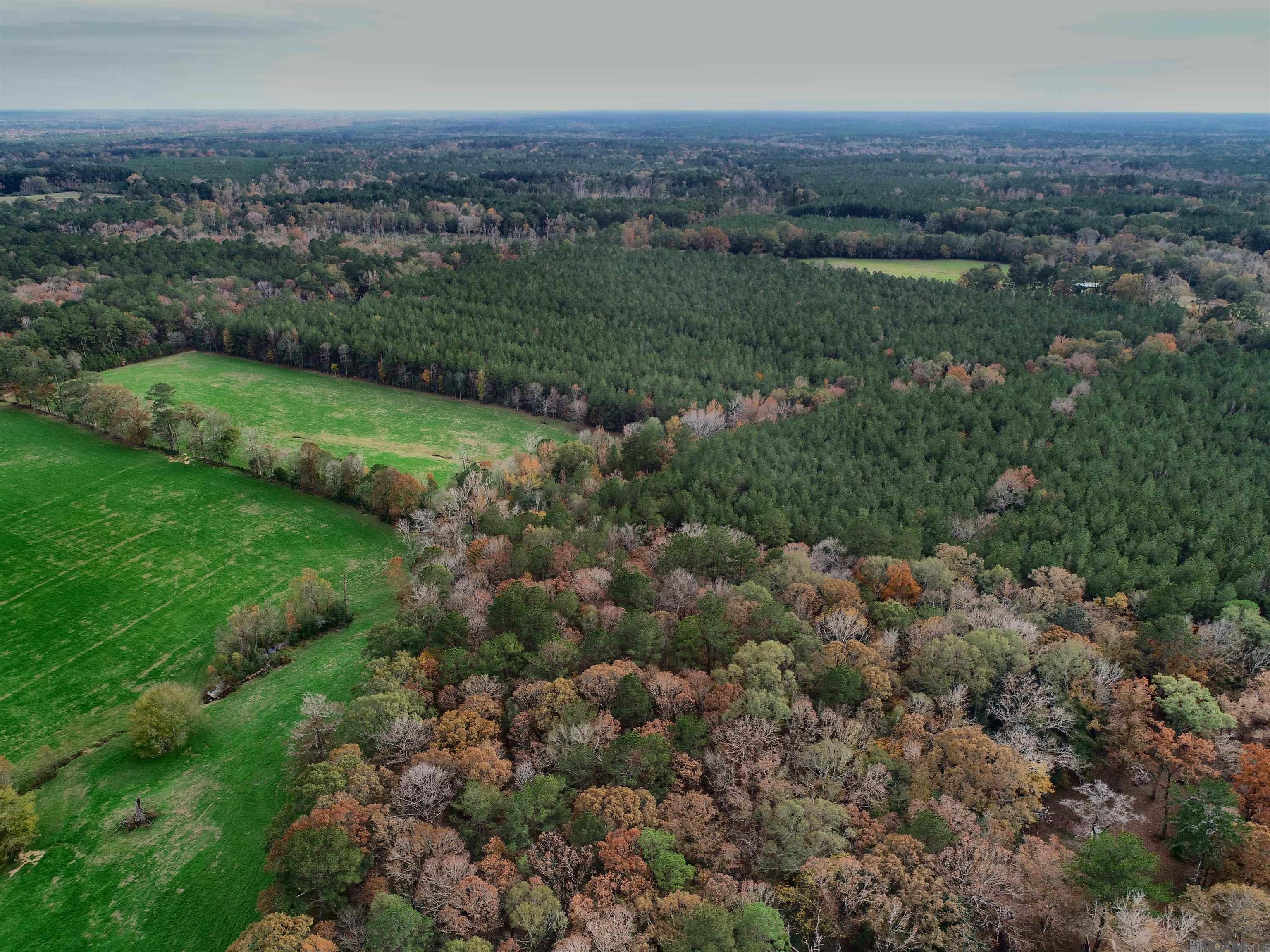 TBD Peterson Rd, Clinton, Louisiana image 5