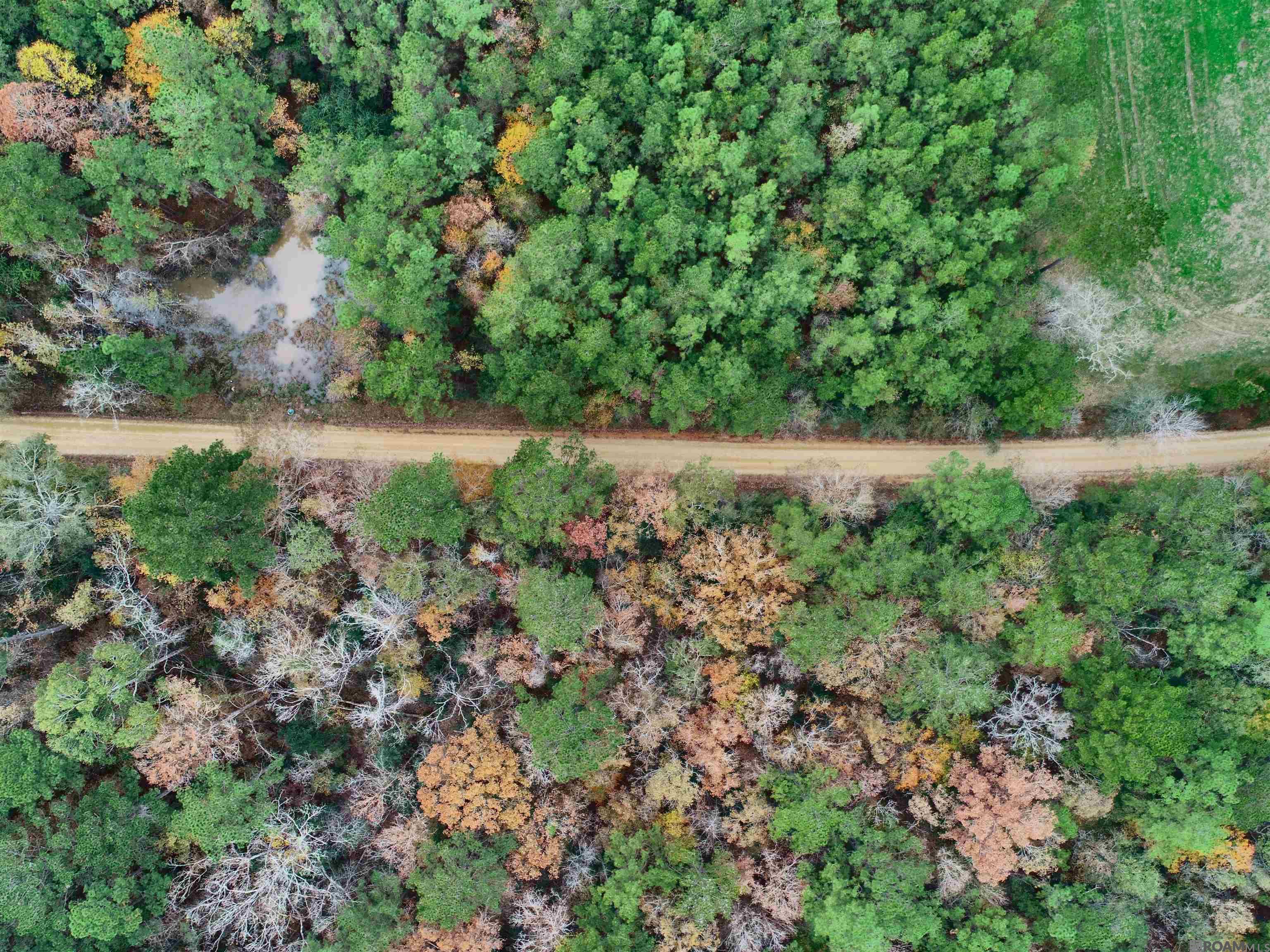 TBD Peterson Rd, Clinton, Louisiana image 8