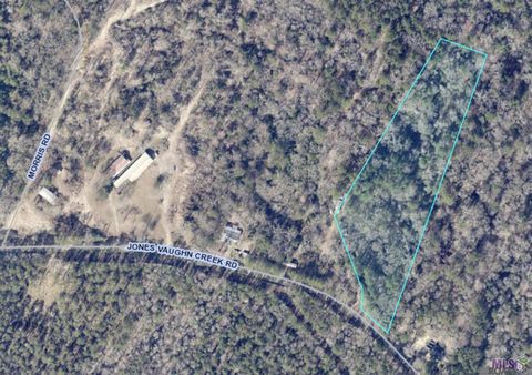 Vacant Land For Sale - 9754 Jones Vaughn Creek Rd<br/> Saint Francisville, LA 70775