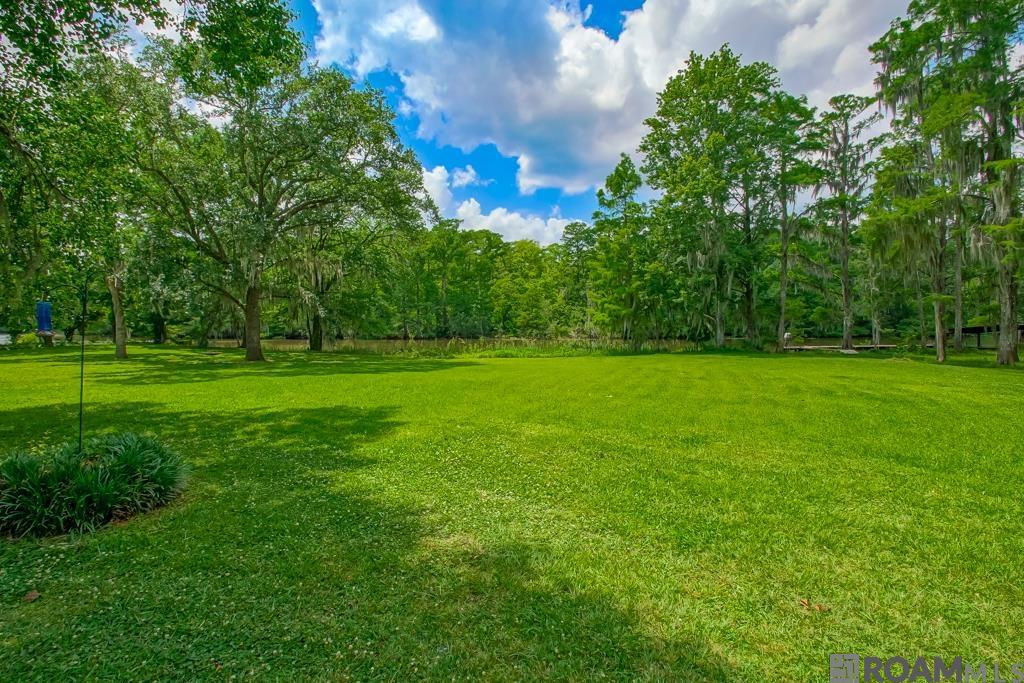 22343 La Hwy 22, Maurepas, Louisiana image 30