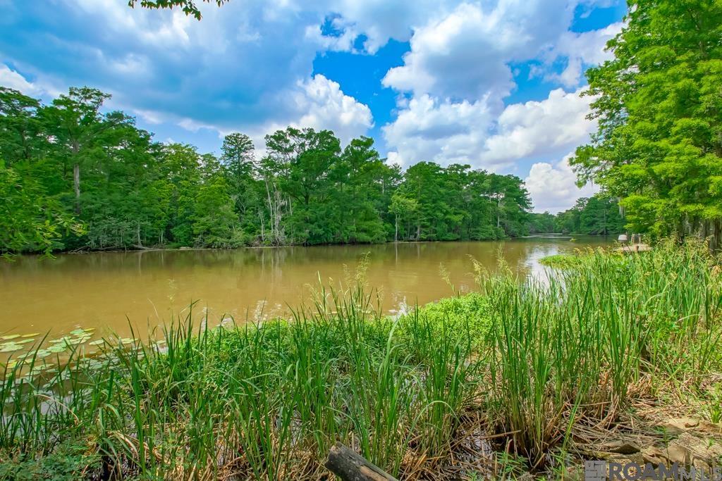 22343 La Hwy 22, Maurepas, Louisiana image 33
