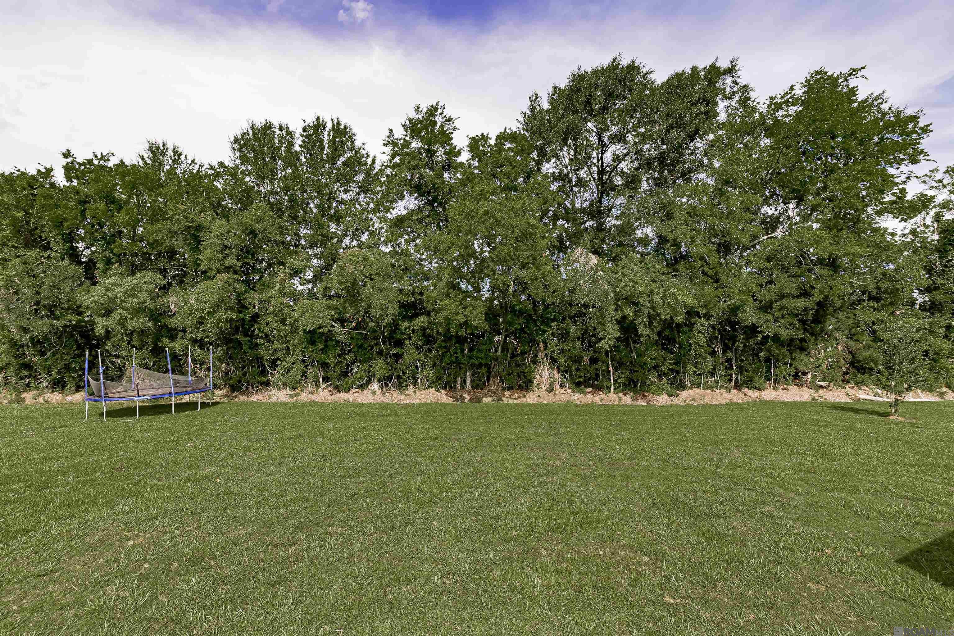 650 Esperanza Dr, Port Allen, Louisiana image 19