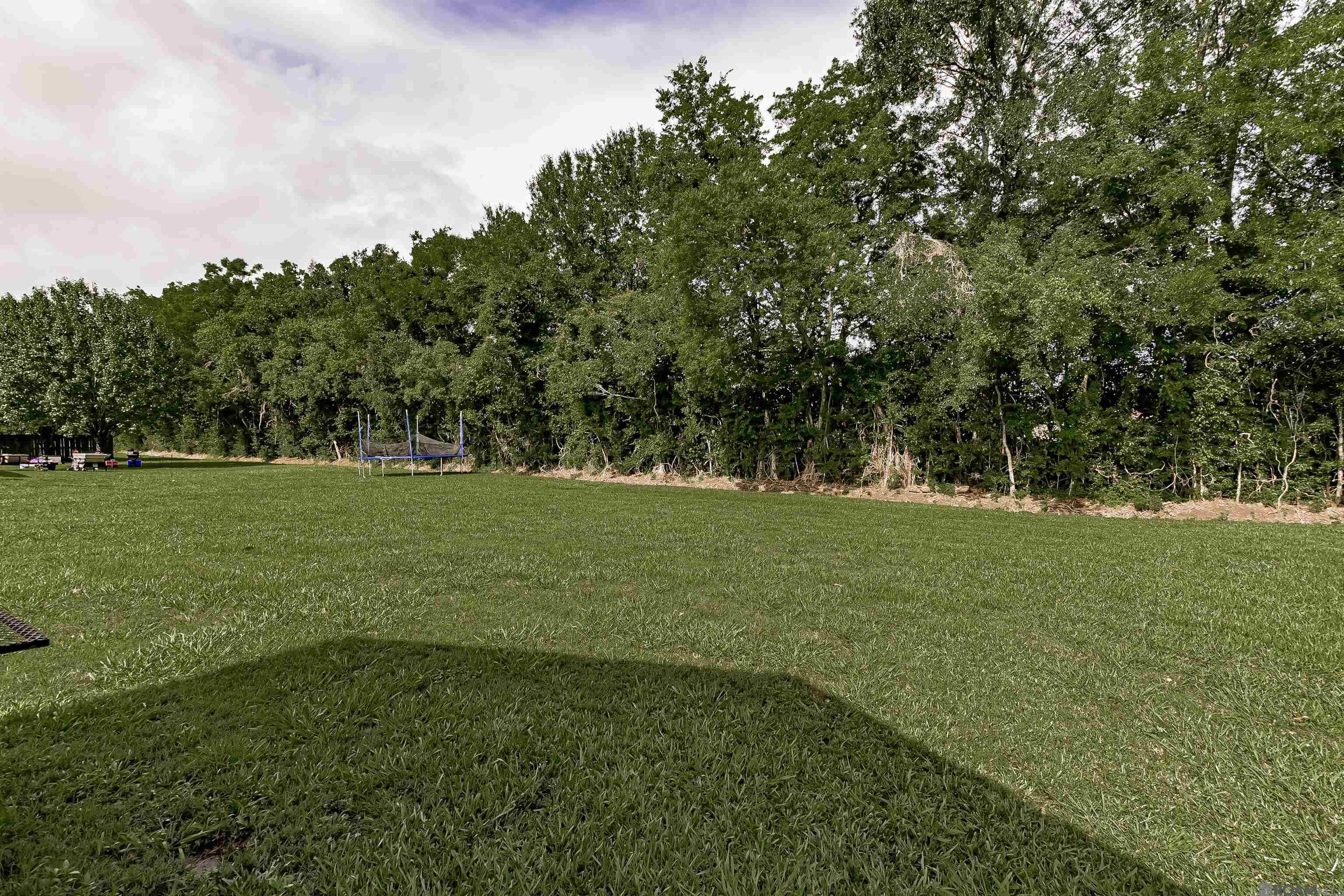 650 Esperanza Dr, Port Allen, Louisiana image 20