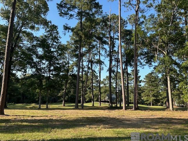 6033 Clayton Ct, Saint Francisville, Louisiana image 2