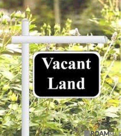 Vacant Land For Sale - 14314 Bluff Pass Dr<br/> Prairieville, LA 70769