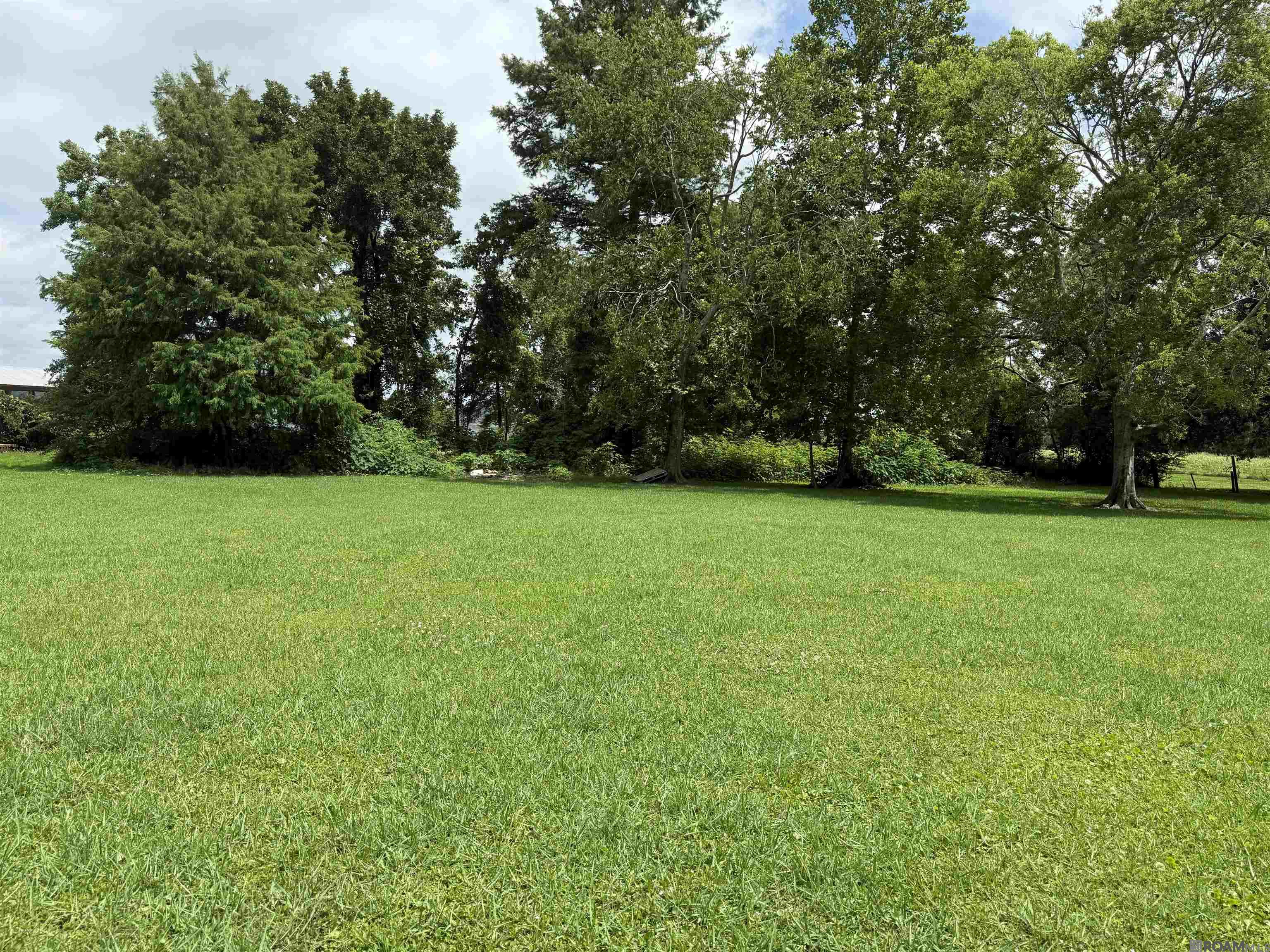 10655 Island Rd, Ventress, Louisiana image 1