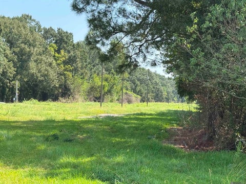 Vacant Land For Sale - 6989 La Highway 1<br/> Addis, LA 70710