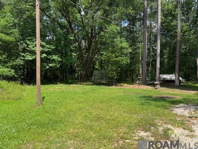 16324 Johns Dr, Tickfaw, Louisiana image 3