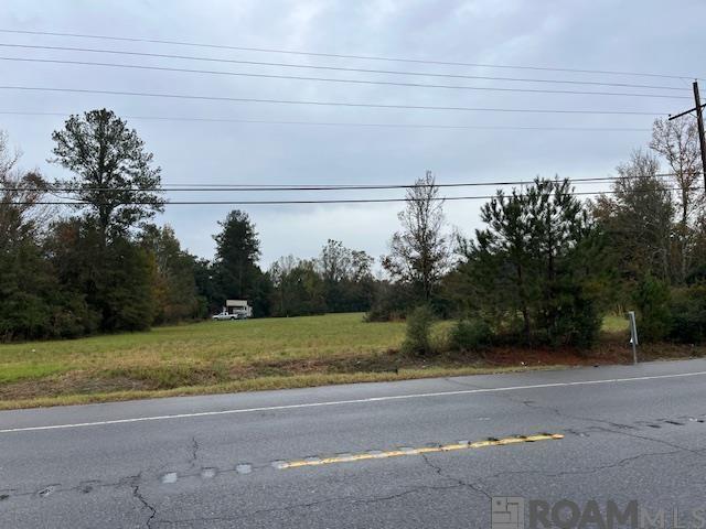 TRACT MM-1 Florida Blvd, Livingston, Louisiana image 4