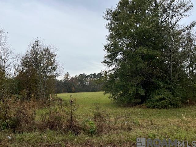 TRACT MM-1 Florida Blvd, Livingston, Louisiana image 3
