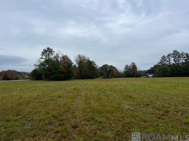 TRACT MM-1 Florida Blvd, Livingston, Louisiana image 2